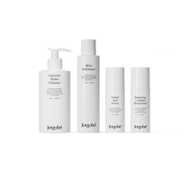 Blemishes Regimen, the four products in the regimen